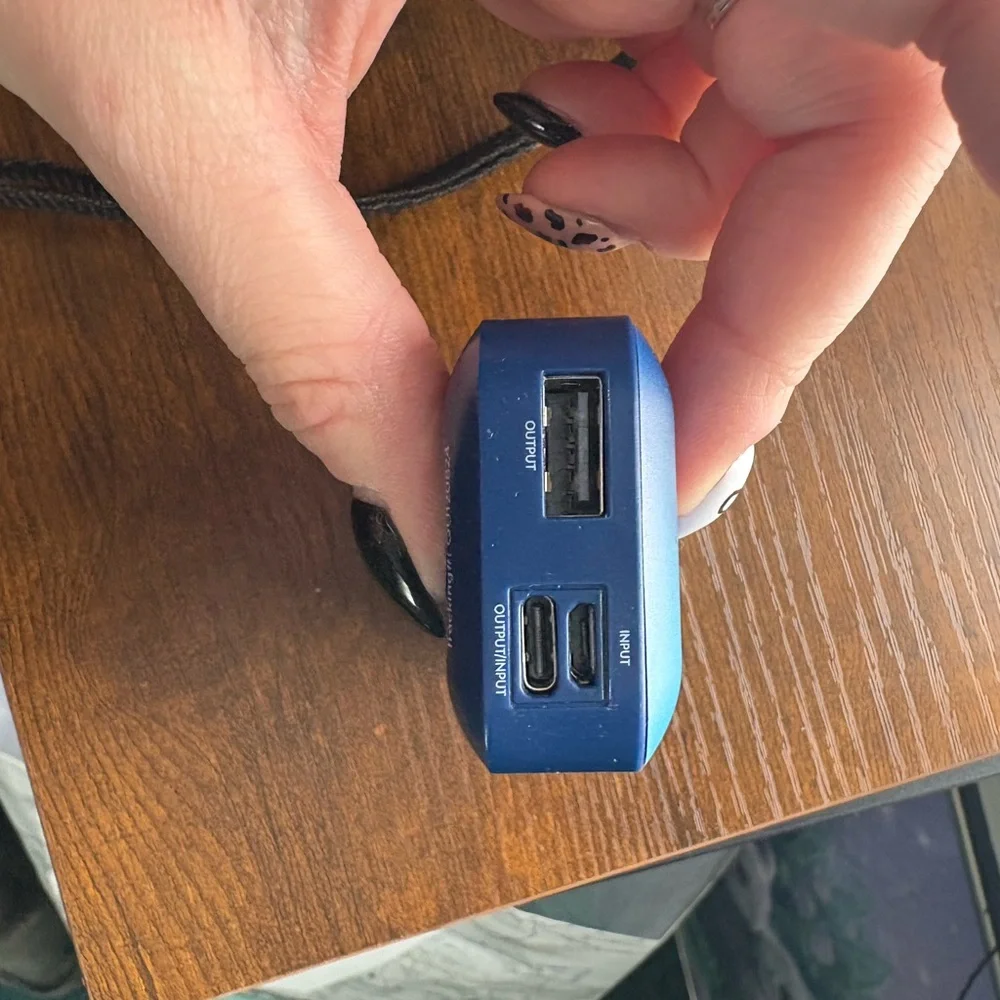 Disney Blue and Purple Stitch Charger